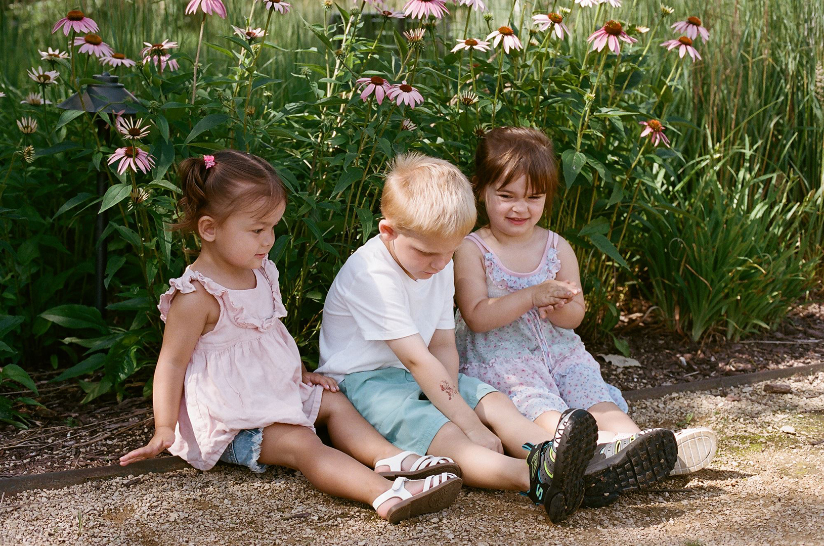 Film, Flowers, Friends
