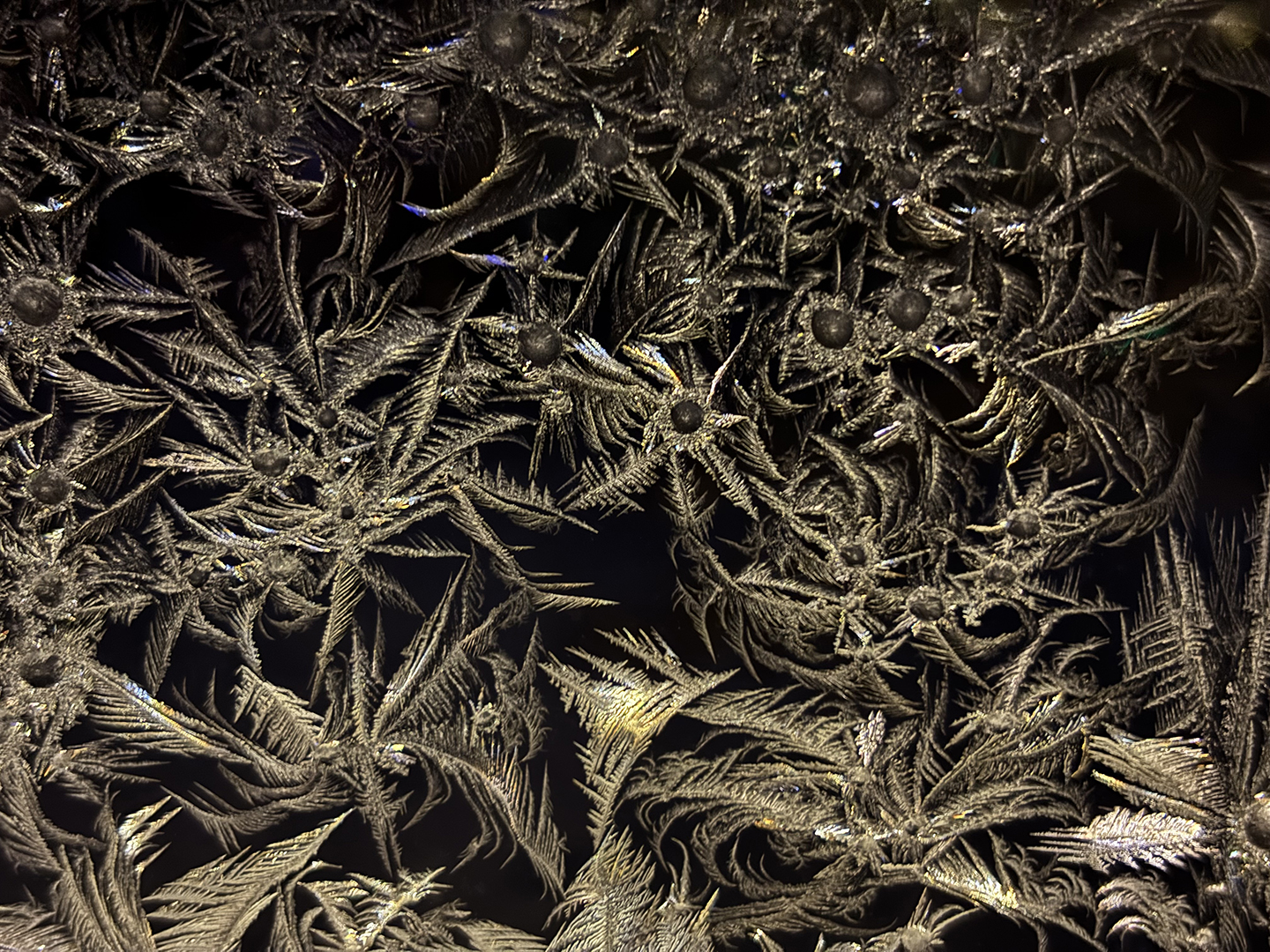 Frost Crystal Garden
