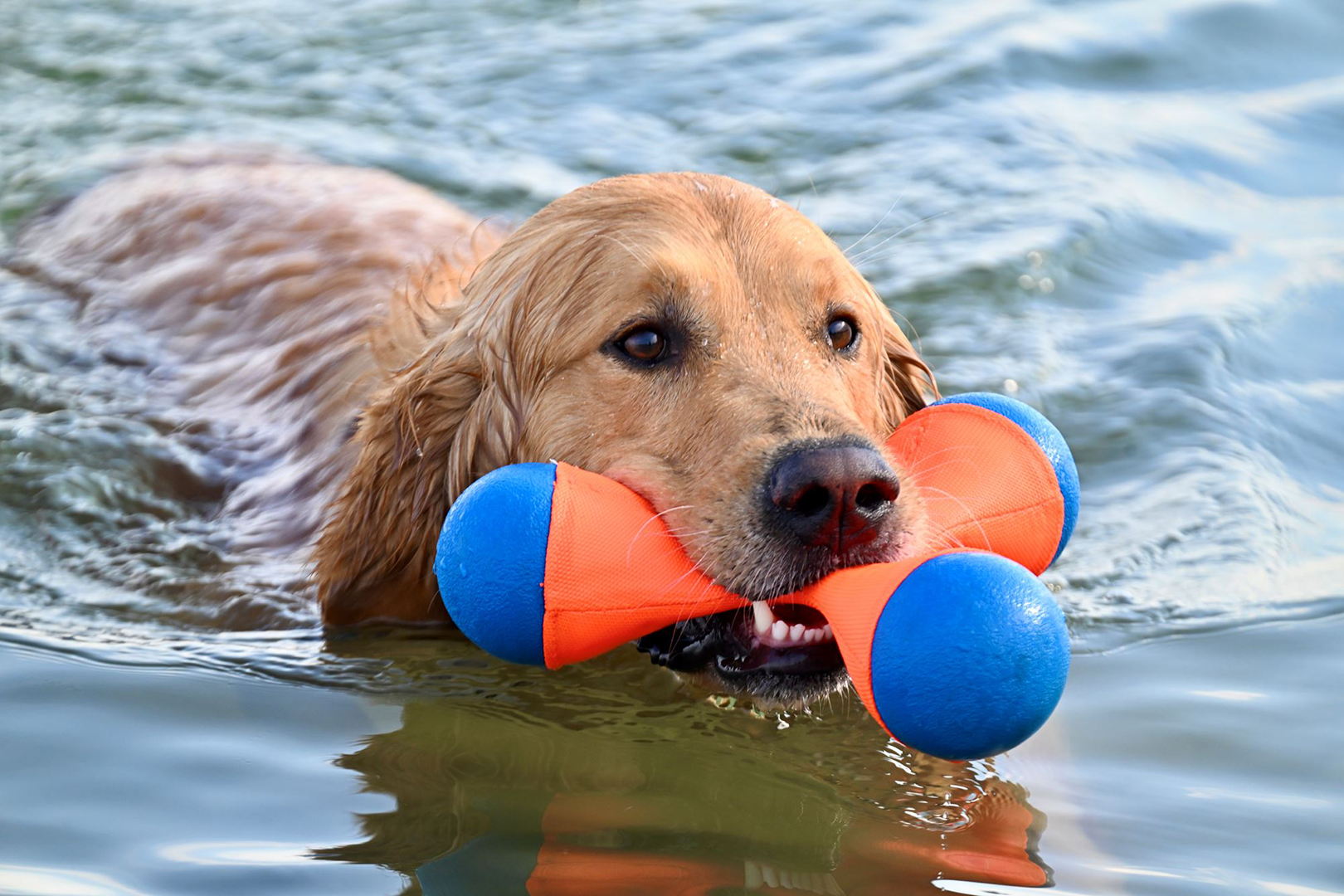 Love the Water