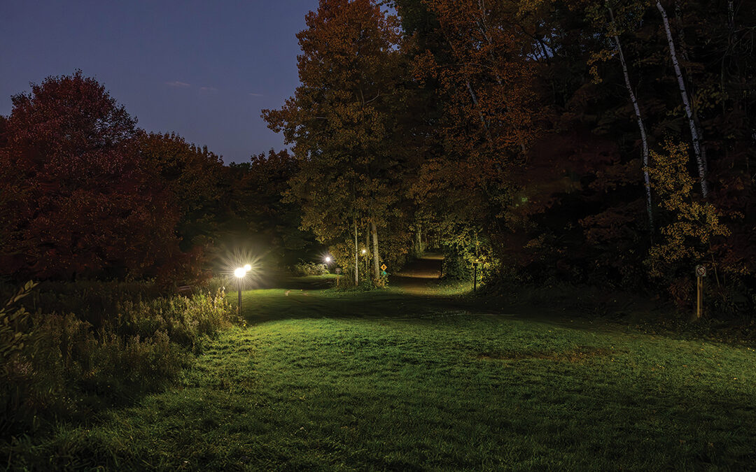 Reconnect With Nature on a Full Moon Forest Bathing Walk
