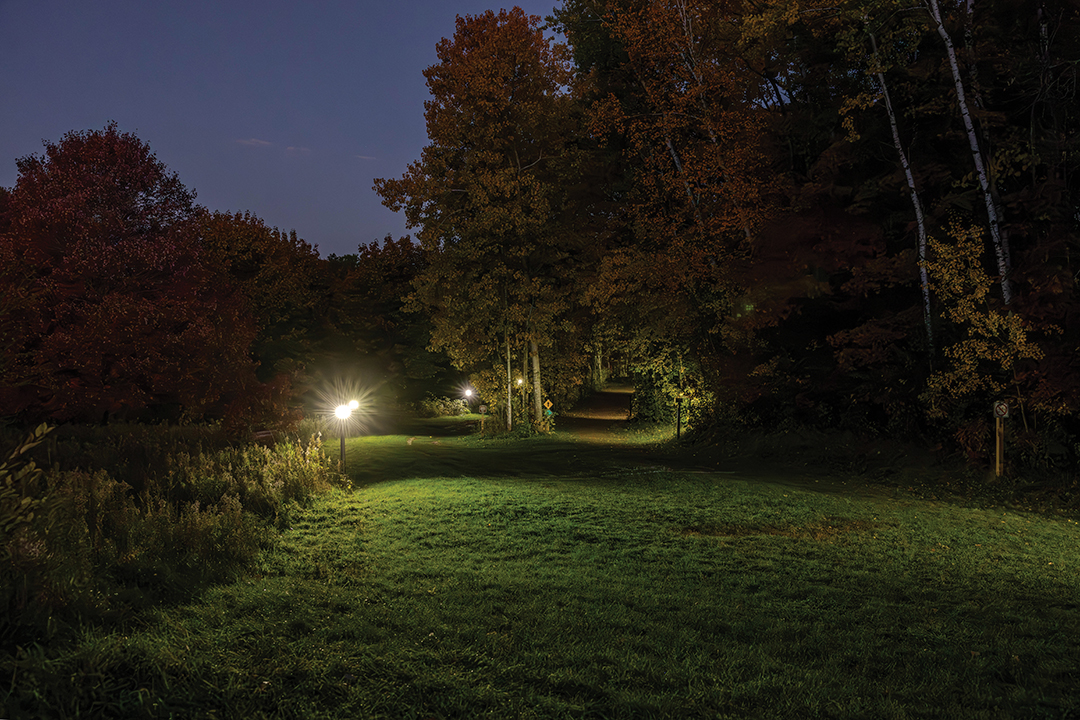 Washington County Parks invites residents to Lake Elmo Park Reserve for its Full Moon Forest Bathing Walk. Guests will be guided and encouraged to slow down and engage senses.